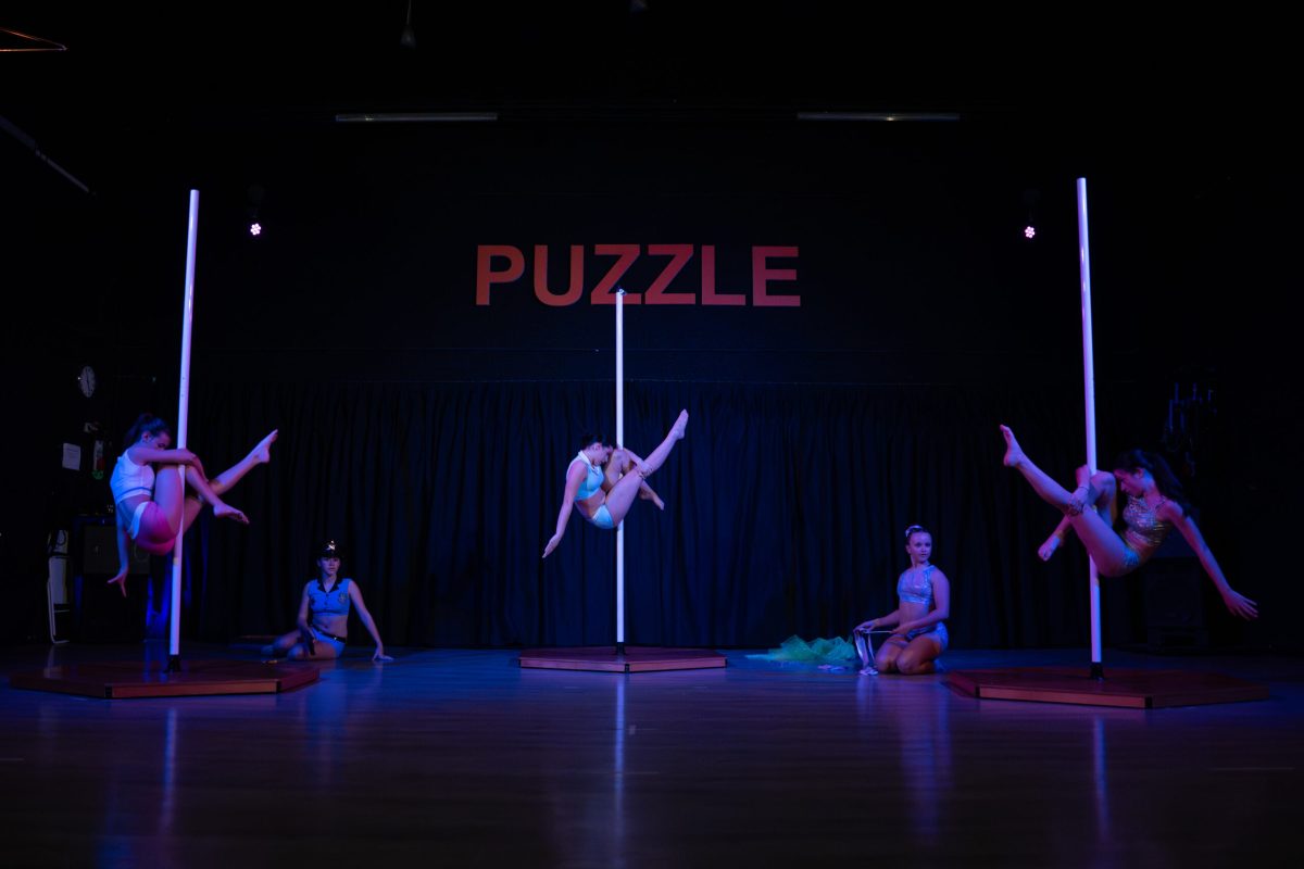 CircoPuzzledef_060626-102