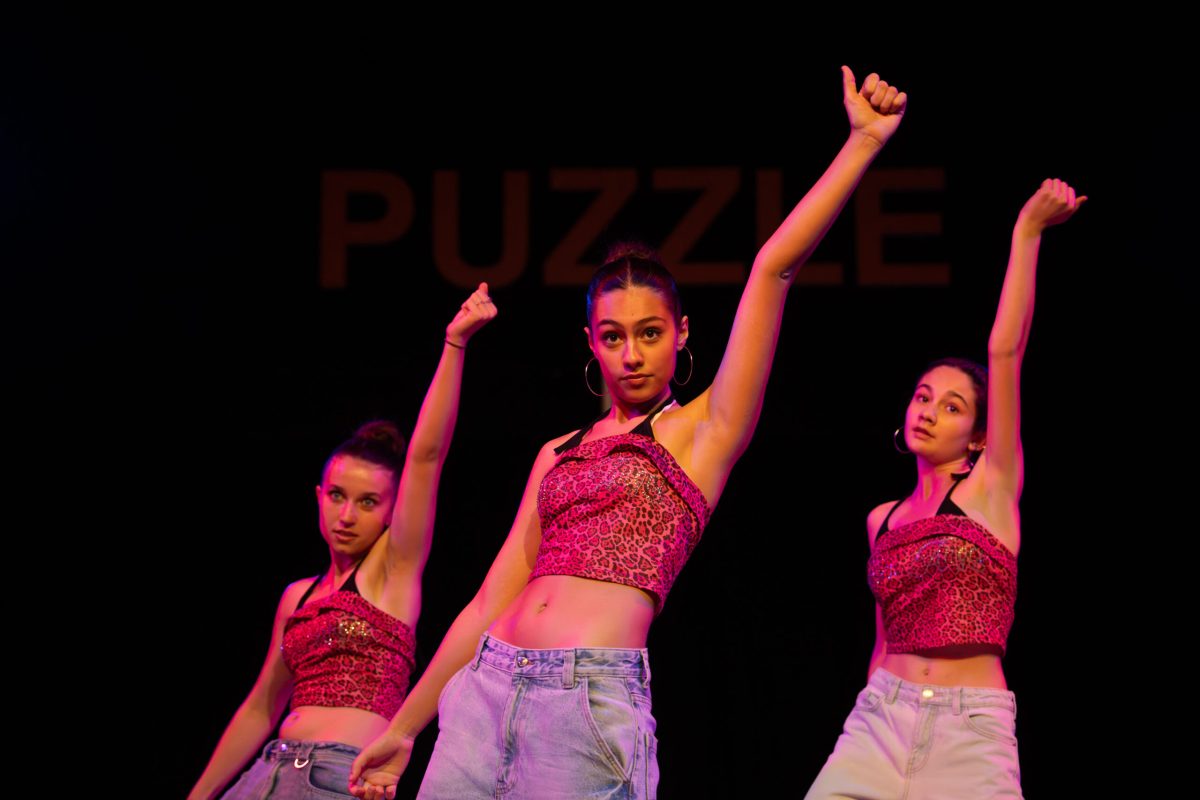 CircoPuzzledef_060626-105
